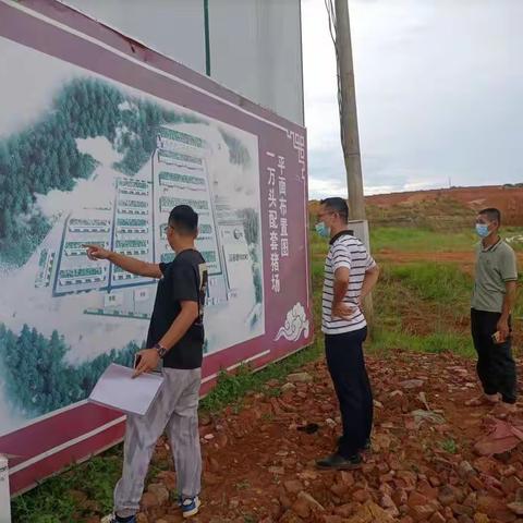 保护生态环境，纪委在一线