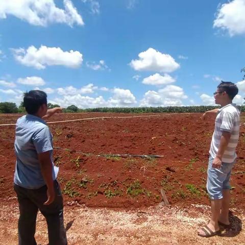 和正村委会开展“主题党日与乡村振兴攻坚日”活动