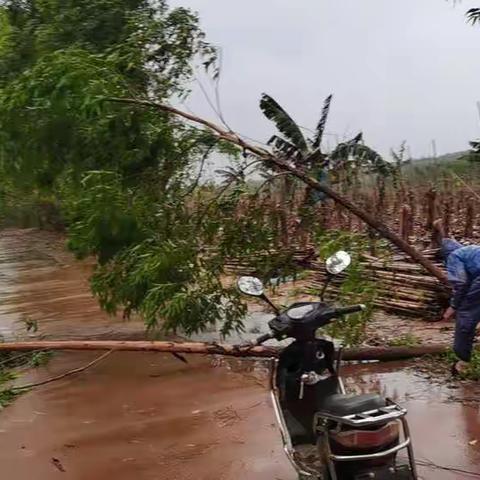 防御“暹芭”台风，纪委不缺席