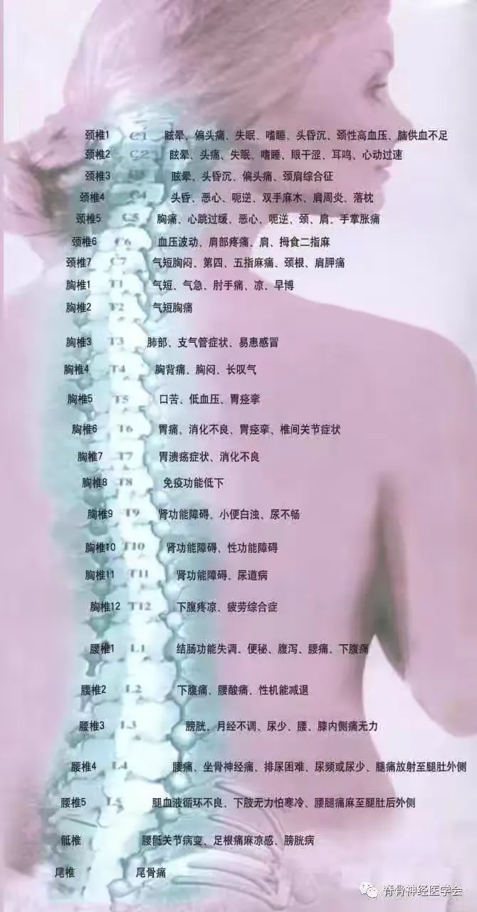 脊柱疾病与相关疾病预防的中医方向