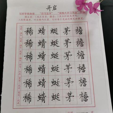 城里小学孙增娟老师寒假“日习五字”作品展
