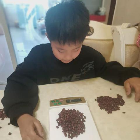 杨东源数学实践作业