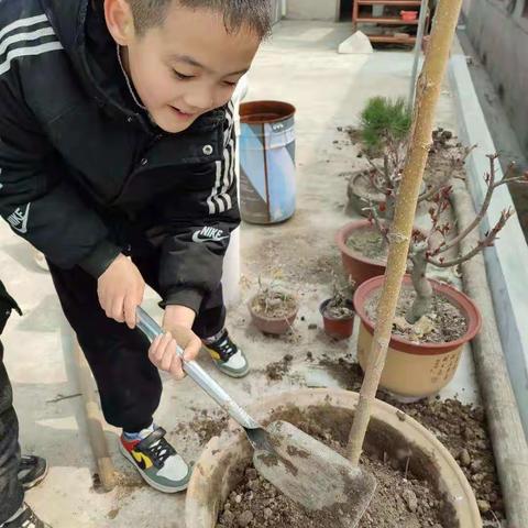 又是一年植树节!临沂高都小学旋风中队植树节小记