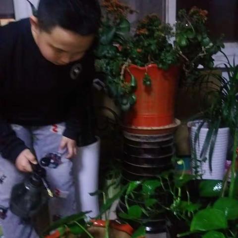 席铭博的寒假生活2021