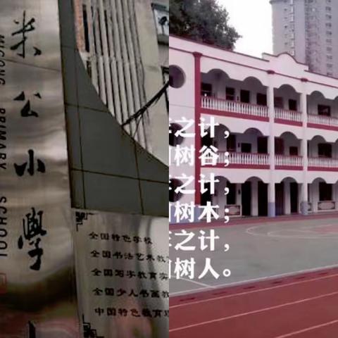 心的托付，爱的陪伴，——记餐托时光