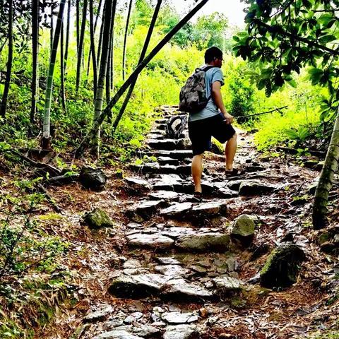 山道穿锦村   溪头画中游