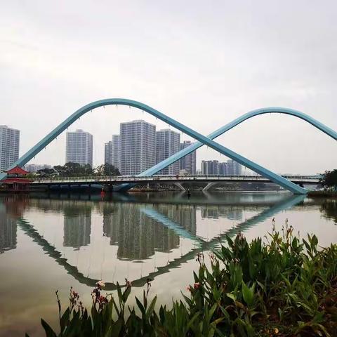 早春雨朦胧   赏景蕉门河