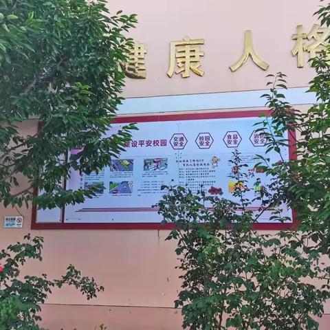 ［新优质成长学校]西安市鄠邑区玉蝉中心学校第十八周工作小结