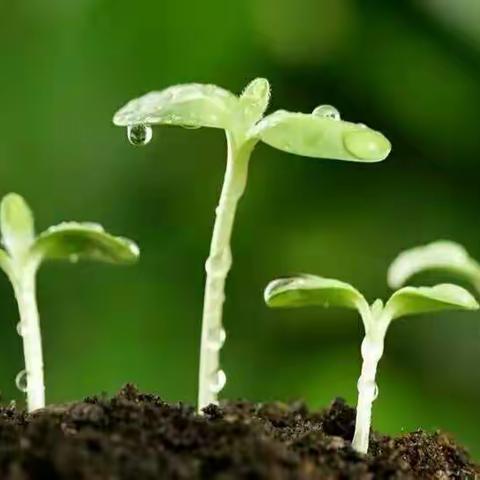 共克时艰同战“疫”，静待春暖花开时（五一班）