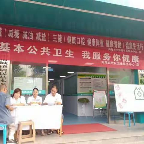 基本公共卫生 我服务 你健康 宣传日纪实