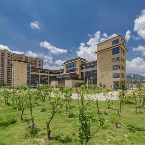 敬老院“飞出”的笑声