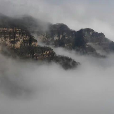 美景...就在我们身边...但...可遇而不可求！