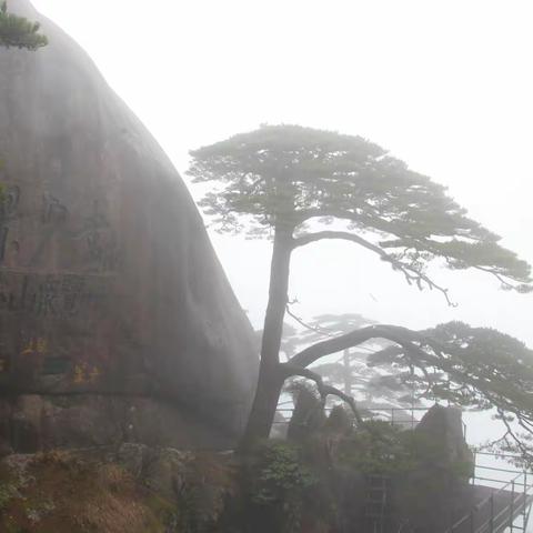 雨中登黄山