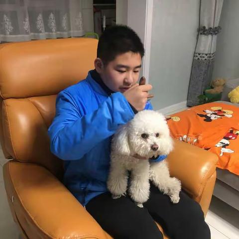 我的家务活记录