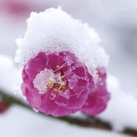 翰墨寄哀思，梅花传精神——颍川学校教师基本功评比之硬笔书法（10）