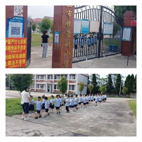 走进小学，体验成长