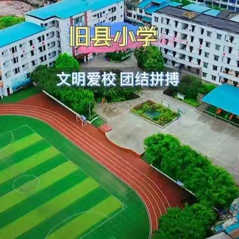 市培2021—铜梁区教师自主选学项目体育学科培训会（旧县站）