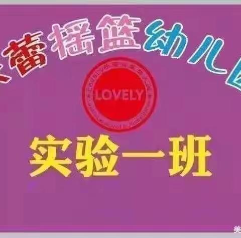 乐蕾摇篮金南园实验一班第十二周