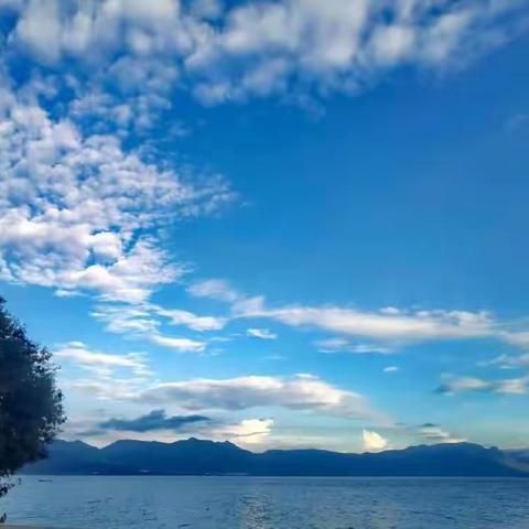 词牌如梦令练笔