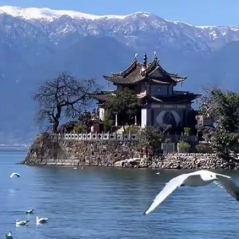 渔洋十二法练笔