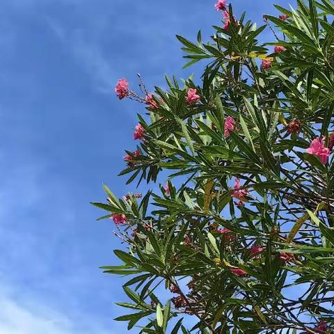 《浣溪沙》&《鹧鸪天》练笔