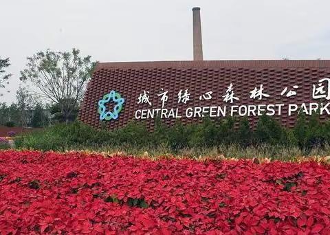 北京通州一城市绿心森林公园