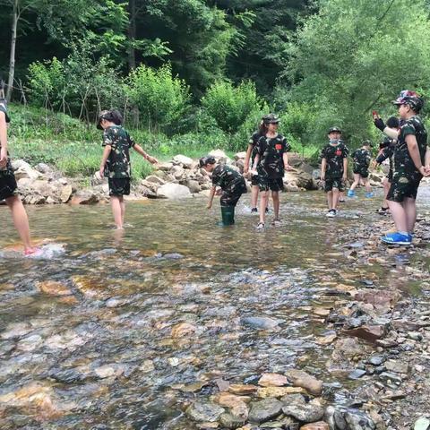 野外生存营掌握硬核技能，在野外成长！