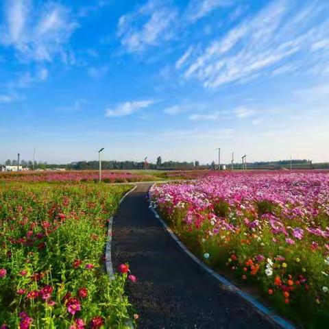 深泽诗联同题诗词第177期—百里滹沱展新姿