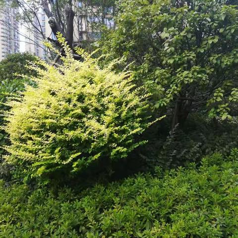 那些静默的日子——忽而今夏组的心得