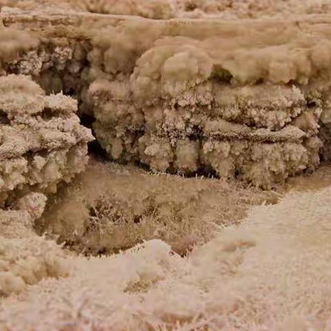 大美运城硝花美