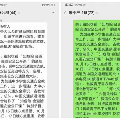 “知危险，会避险"宋道口镇中心小学交通安全公开课”