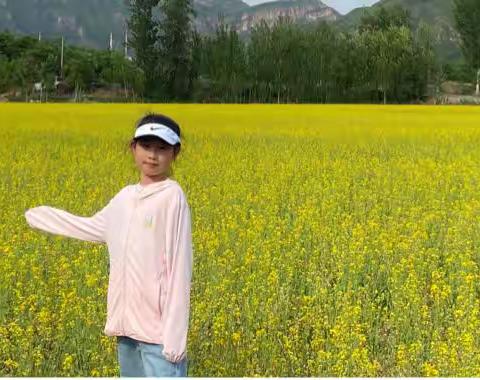 我的居家抗疫生活