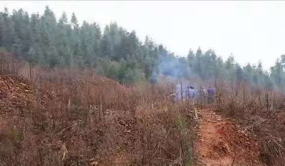 建盏的前世今生！