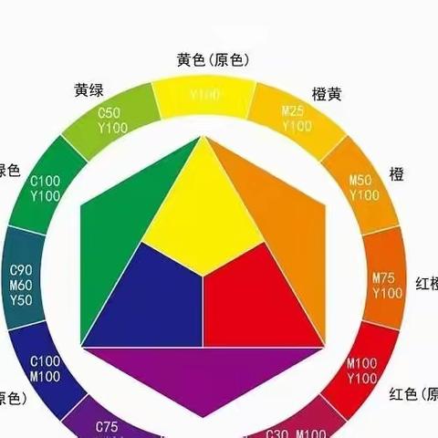 食品中的色彩——学生篇