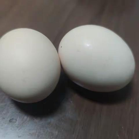 Duang