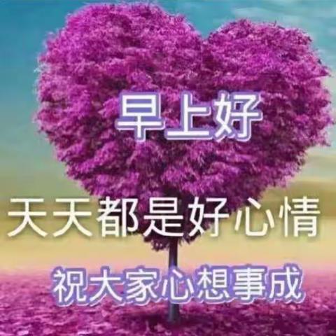 厦门之游