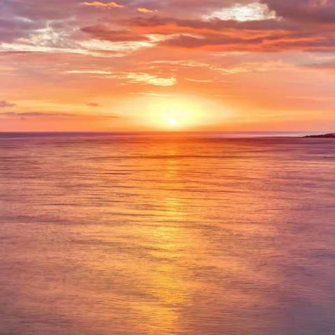 滑县教育局2020--2021学年教研培训会