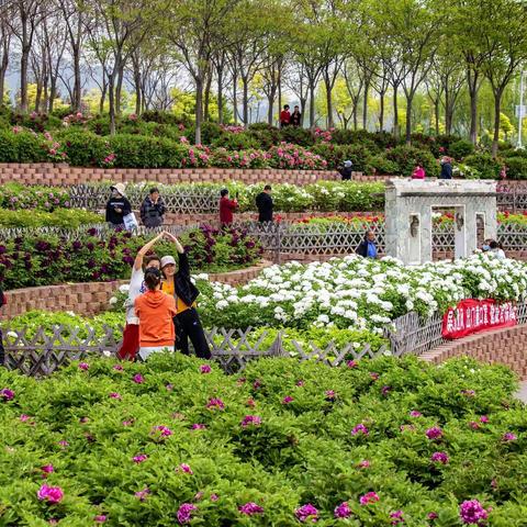 倾城国色闹春潮