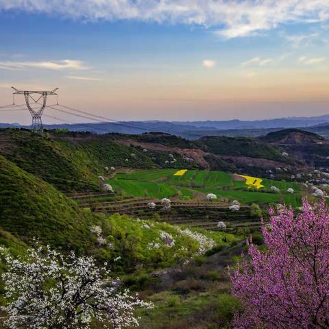 梨花风起正清明