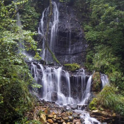 神农架风光（六）