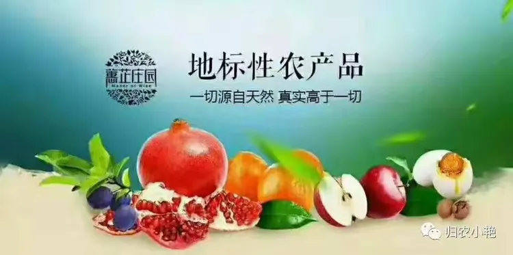 归农是什么？