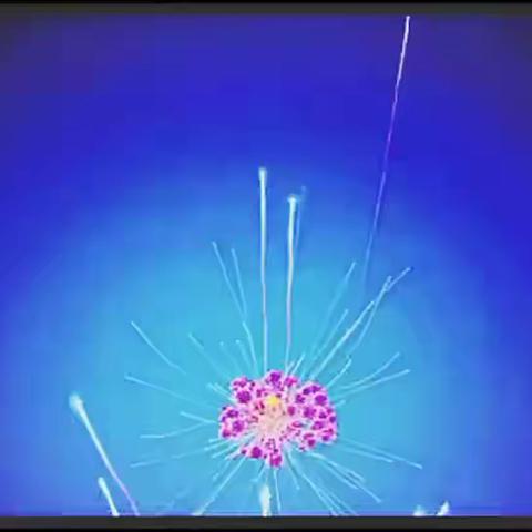 武川县文化馆全体职工祝大家新春快乐，虎年大吉！