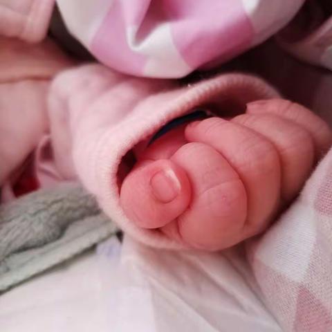 记录美好❤️分享感动––                                          写给怀胎十月辛苦的自己以及照顾我的家人