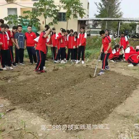 陵水县民族中学劳技课主题课程之种植