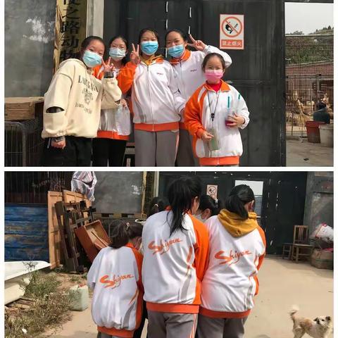 它们尽管不会说话，但它们也懂得温暖，懂得感恩，懂得很多我们人类具备的情感，它们是我们人类的忠实朋友！