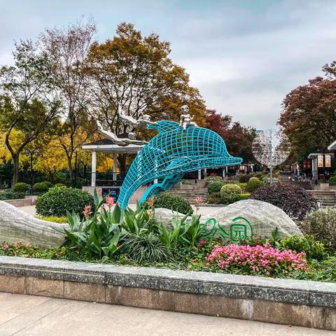 耀飞万里赏秋景