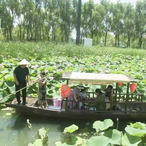 铁岭莲花湖一日游