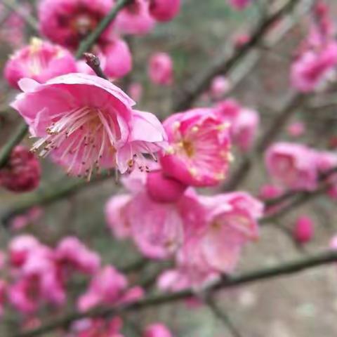 春风送暖再扬帆，听课评课促成长