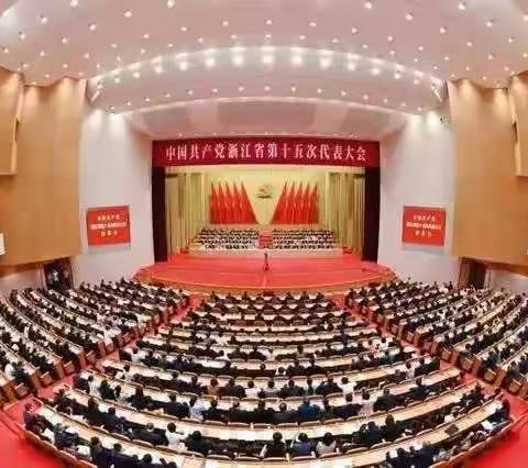 金华市遂昌商会党支部学习贯彻省第十五次党代会精神