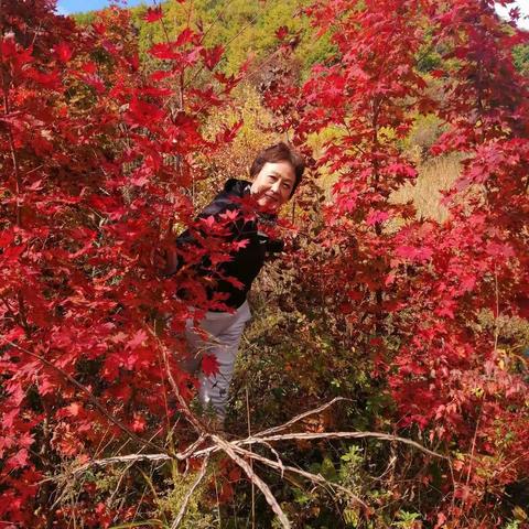 2020年10.5日本溪龙迶沟1日游